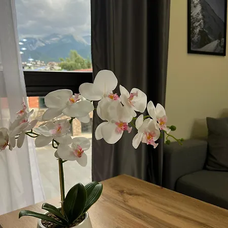 Apartman Grand 1 *